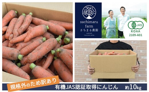 訳あり 規格外 にんじん 約10kg 有機JAS認証取得 栽培期間中農薬 除草剤 化学肥料不使用 野菜 食材 緑黄色野菜 国産野菜 えぐみがない 甘い人参 産地直送 キャロット ベジタブル 