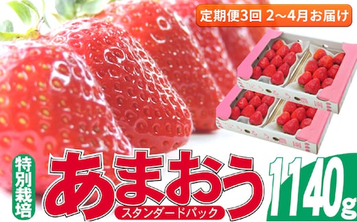 定期便 3回 いちご 発送時期 2026年2月～4月 うるう農園のあまおう スタンダード4パック 約1.14kg 配送不可 離島 果物類 フルーツ 安心 安全 美味しい 食べやすい 