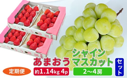 定期便 2回 2027年 いちご シャインマスカット セット あまおう スタンダード 4パック 約1.14kg シャインマスカット 2～4房 約1.2kg 配送不可 離島 フルーツ 
