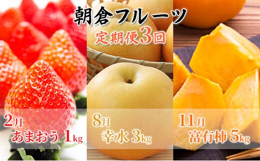 定期便 フルーツ 3回 お届け 数量限定 いちご 梨 柿 朝倉 フルーツ定期便 2024年発送 オンライン決済限定 配送不可 離島 果物類 大粒 甘い フレッシュ ジューシー 王様 