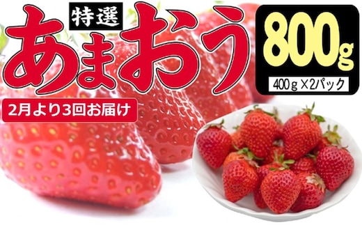 定期便 3ヶ月 いちご あまおう 800g 特選 あまおう 2026年2月より発送 イチゴ 苺 フルーツ 果物 デザート 3回 お楽しみ ※配送不可：離島 