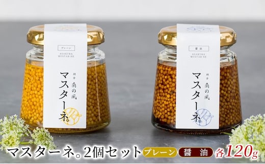 調味料 マスタード 2個 セット マスターネ。 プレーン 醤油 各120g 瓶 食べ比べ ※配送不可:離島 