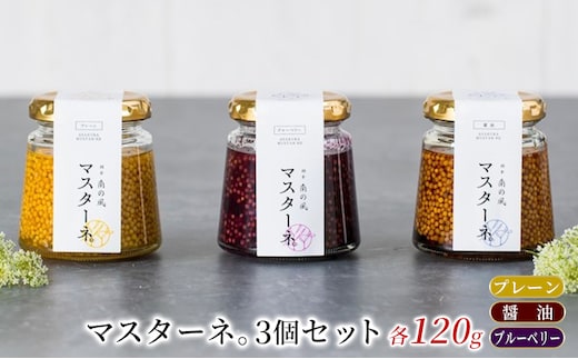 調味料 マスタード 3本 セット マスターネ。 プレーン 醤油 ブルーベリー 各120g 瓶 食べ比べ ※配送不可:離島 