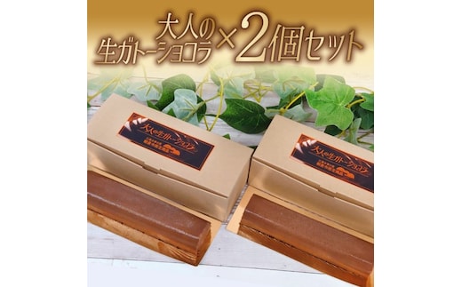 ガトーショコラ 大人の生ガトーショコラ 2個 セット 洋菓子 ケーキ デザート テリーヌ チョコレート ※配送不可:離島 