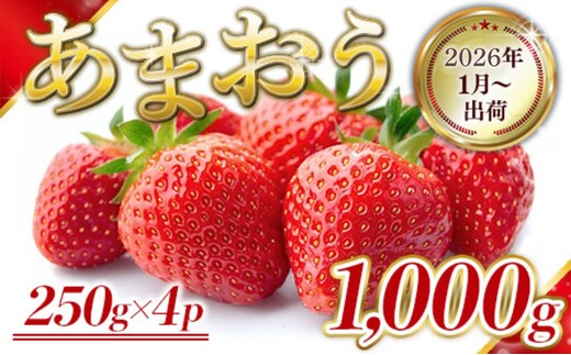 いちご 福岡県産 あまおう 1000g (250g×4パック) 先行予約 2026年1月より順次発送 果物 デザート ※配送不可：離島 