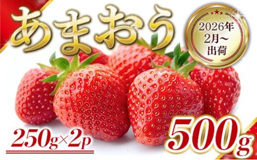 いちご 福岡県産 あまおう 500g (250g×2パック) 先行予約 2026年2月より順次発送 果物 デザート ※配送不可：離島 