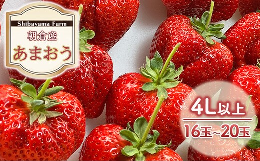 いちご 朝倉市産 あまおう 4L以上 16玉～20玉 イチゴ 苺 果物 デザート ＜Shibayama Farm＞ ※配送不可：離島 