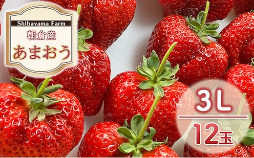 いちご 朝倉市産 あまおう 3L 12玉 イチゴ 苺 果物 デザート ＜Shibayama Farm＞ ※配送不可：離島 