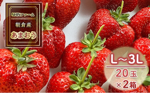 いちご 朝倉市産 あまおう L～3L 20玉×2箱 イチゴ 苺 果物 デザート ＜SHINファーム＞ ※配送不可：離島 