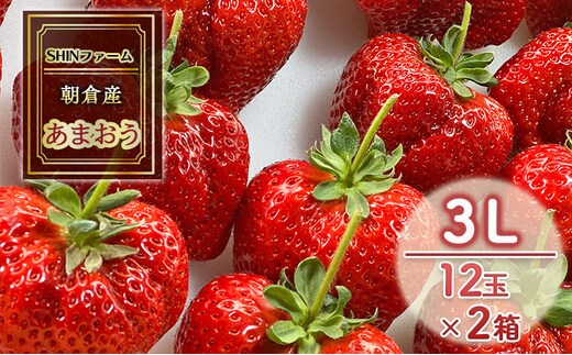 いちご 朝倉市産 あまおう 3L 12玉×2箱 イチゴ 苺 果物 デザート ＜SHINファーム＞ ※配送不可：離島 