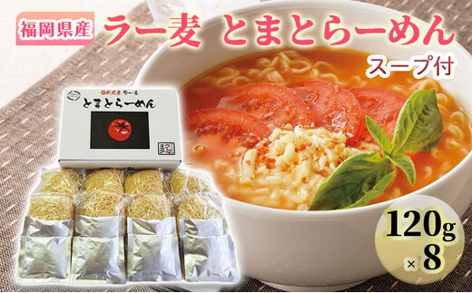 ラーメン 福岡県産 ラー麦 とまとらーめん 1ケース 麺 
