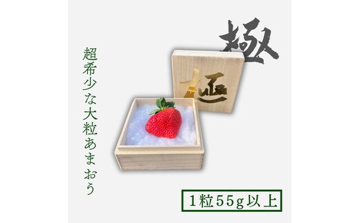 いちご 大粒 あまおう 苺 「極」 1粒55g以上 果物