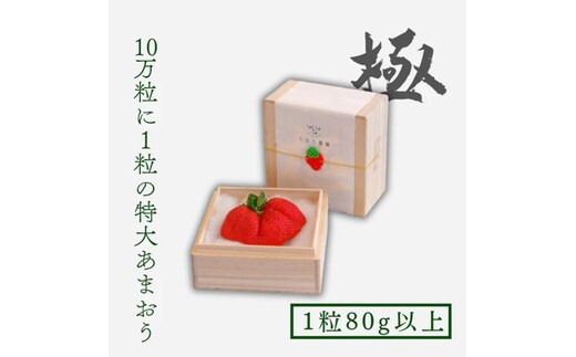 いちご 特大 あまおう 苺 「極」 1粒80g以上 果物