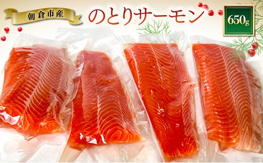 サーモン 朝倉市産 のとりサーモン 650g 魚 冷凍 ※配送不可:離島