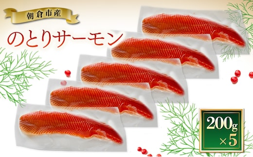 サーモン 朝倉市産 のとりサーモン 200g×5 魚 冷凍 ※配送不可:離島