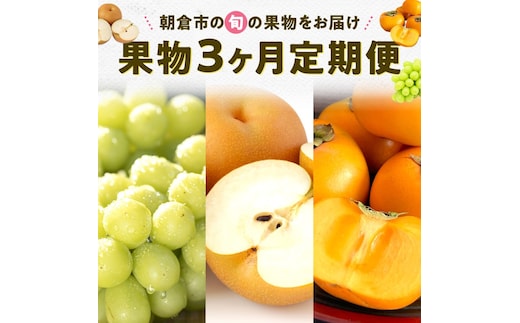 果物 3ヶ月 定期便 先行予約 2026年8月より順次発送 (シャインマスカット、梨、柿) フルーツ 3回 ※配送不可：離島