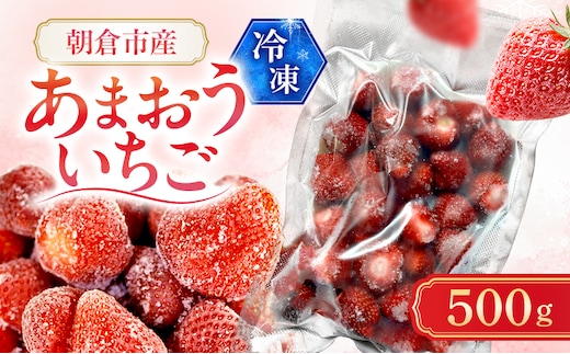 いちご 朝倉市産 冷凍あまおう 500g イチゴ 苺 果物 デザート ＜しばやま農園＞ ※配送不可：離島
