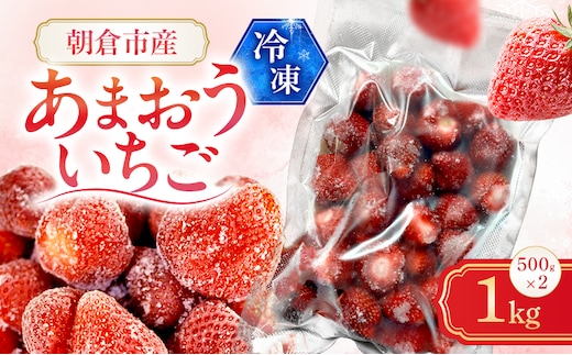 いちご 朝倉市産 冷凍あまおう 1kg（500g×2）イチゴ 苺 果物 デザート ＜しばやま農園＞ ※配送不可：離島