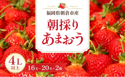 いちご 朝倉市産 あまおう 4L以上 16玉～20玉×2箱 イチゴ 苺 果物 デザート ※配送不可：離島