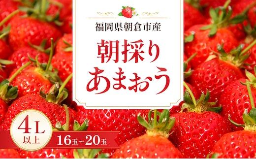 いちご 朝倉市産 あまおう 4L以上 16玉～20玉 イチゴ 苺 果物 デザート ※配送不可：離島