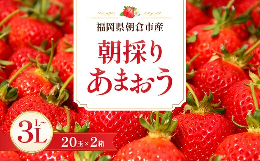 いちご 朝倉市産 あまおう L～3L 20玉×2箱 イチゴ 苺 果物 デザート ※配送不可：離島