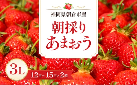 いちご 朝倉市産 あまおう 3L 12～15玉×2箱 イチゴ 苺 果物 デザート ※配送不可：離島