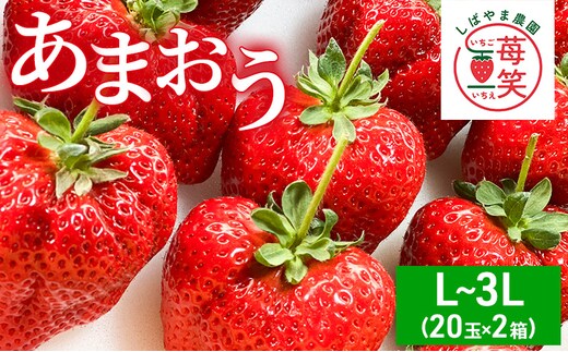 いちご 朝倉市産 あまおう L～3L 20玉×2箱 イチゴ 苺 果物 デザート ※配送不可：離島
