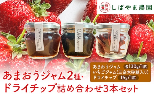 福岡県朝倉産 あまおうジャム2種（各1瓶）ドライチップ（1瓶）詰め合わせセット
