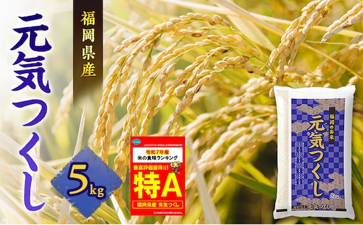 米 元気つくし 5kg