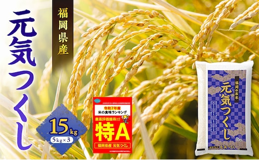米 元気つくし 15kg