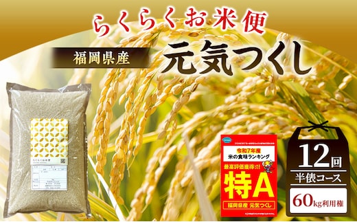 米 らくらくお米便 計60kg 元気つくし ( 5kg × 12回 )