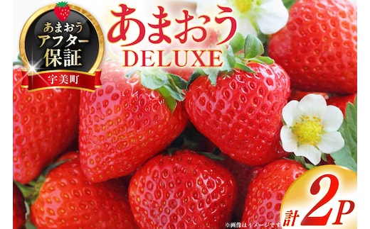 【期間限定発送】 いちご あまおう デラックス 2p [THE FARM_strawberry 福岡県 宇美町 um40azo780000] イチゴ 苺 フルーツ 果実 甘い 小分け
