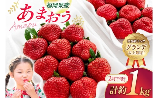 いちご あまおう 270g 4p 計約1kg【2月後半-3月後半発送】 2027年発送 先行予約 [hurrah. 福岡県 宇美町 um40bjm200000] イチゴ 苺 フルーツ 果物 果実 甘い あまい グランデ