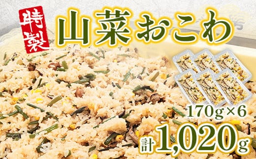 特製 山菜おこわ 170g 6p [アイライズ工房 福岡県 宇美町 um40azo730002] 山菜 おこわ 惣菜 冷凍 レトルト