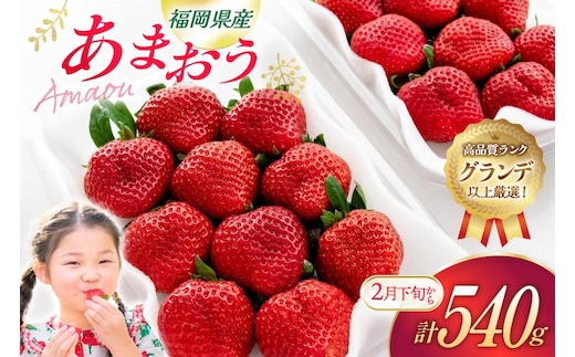 いちご あまおう 270g 2p 計540g【2月後半-3月後半発送】 2027年発送 先行予約 [hurrah. 福岡県 宇美町 um40bjm200003] イチゴ 苺 フルーツ 果物 果実 甘い あまい グランデ