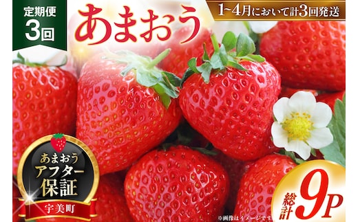 【期間限定発送】 いちご 定期便 あまおう 3p 3回 総計9p [THE FARM_strawberry 福岡県 宇美町 um40azo780004] イチゴ 苺 フルーツ 果実 甘い 小分け