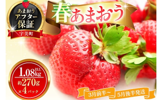 いちご あまおう 春あまおう 270g以上 4p 計1080以上 【3月前半～5月後半発送】 期間限定 [ストロベリーファーム 福岡県 宇美町 um40azp070006] 先行予約 イチゴ 苺 フルーツ 果物 果実 甘い 小分け あまい 4パック 1kg