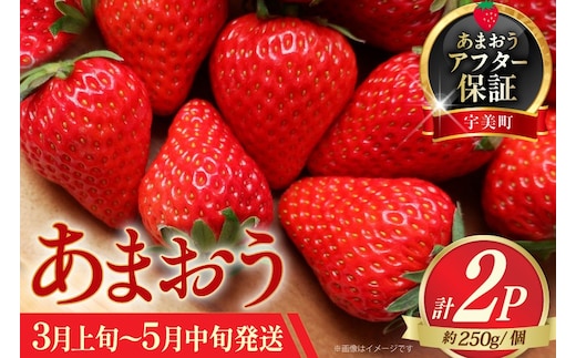 いちご あまおう 先行予約 約250g × 2P 3月上旬 5月中旬 【2027年発送】 [一千也フーズ 福岡県 宇美町 um40azp140006] 苺 イチゴ フルーツ ストロベリー 甘い あまい 季節限定 期間限定 2027