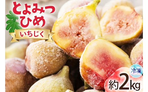 いちじく 冷凍 とよみつひめ 約1kg 2袋 計約2kg [地域商社ふるさぽ 福岡県 宇美町 um40bfw220007] フルーツ 果物 イチジク くだもの 無花果 ジャム シャーベット スムージー