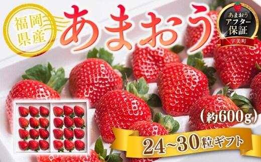 いちご あまおう 福岡産あまおう 24～30粒 【期間限定発送】 [南国フルーツ 福岡県 宇美町 um40azo970008] 先行予約 イチゴ 苺 フルーツ 果物 果実 甘い 小分け あまい