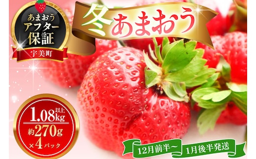 いちご あまおう 冬あまおう 270g以上 4p 計1080g以上 【12月前半～1月後半発送】 期間限定 [ストロベリーファーム 福岡県 宇美町 um40azp070008] 先行予約 イチゴ 苺 フルーツ 果物 果実 甘い 小分け あまい 4パック 1kg