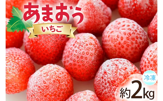 いちご 冷凍 あまおう 約2kg [地域商社ふるさぽ 福岡県 宇美町 um40bfw220008] フルーツ 果物 イチゴ 苺 くだもの ジャム シャーベット スムージー