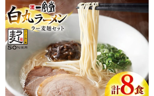 ラーメン 一風堂 白丸 ラー麦麺 セット 計8食 [地域商社ふるさぽ 福岡県 宇美町 um40bfw220009] らーめん 豚骨 とんこつ 博多ラーメン 豚骨ラーメン 詰め合わせ
