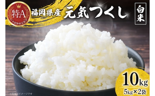 米 令和7年 白米 元気つくし 5kg 2袋 計 10kg [ベネフィス 福岡県 宇美町 um40azp190011] 令和7年産 お米 ご飯 コメ ごはん