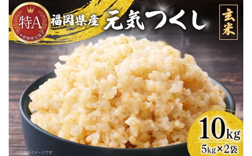米 令和7年 玄米 元気つくし 5kg 2袋 計 10kg [ベネフィス 福岡県 宇美町 um40azp190012] 令和7年産 お米 ご飯 コメ ごはん
