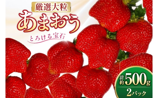 いちご 厳選大粒 あまおう 約250g～270g 2パック 計約 500g [THE FARM_strawberry 福岡県 宇美町 um40azo780013] あまおう苺 イチゴ フルーツ 果物 くだもの 甘い