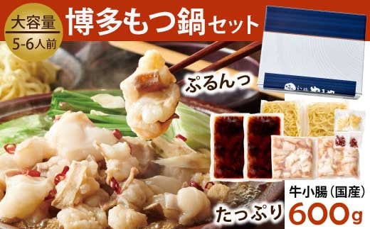 博多もつ鍋やまや 6回 定期便 博多もつ鍋やまや もつ鍋セット あごだし醤油味 5～6人前 ちゃんぽん麺 薬味付 総計30人前 [やまやコミュニケーションズ 福岡県 宇美町 um40azo860013] 牛もつ 具材 モツ鍋 牛ホルモン セット