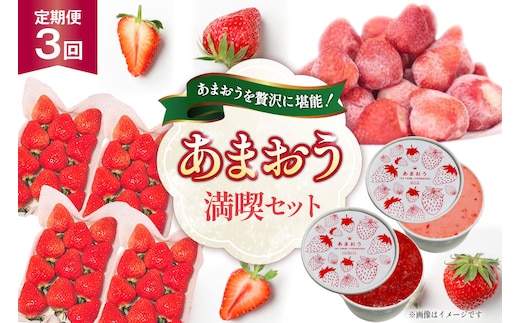 いちご あまおう 満喫セット 3回 定期便 [THE FARM_strawberry 福岡県 宇美町 um40azo780015] 苺 イチゴ 冷凍いちご 冷凍あまおう 甘い あまい アイス ジェラート シャーベット フルーツ 果物