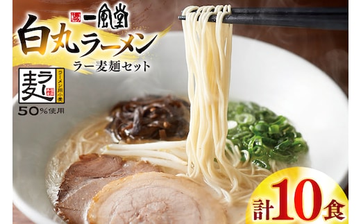 ラーメン 一風堂 白丸 ラー麦麺 セット 10食 [地域商社ふるさぽ 福岡県 宇美町 um40bfw220015] 豚骨 とんこつ らーめん 拉麺 豚骨ラーメン とんこつラーメン 博多ラーメン まとめ買い
