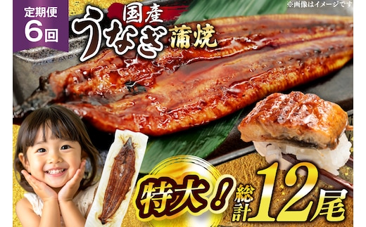 うなぎ 国産 定期便 鰻 蒲焼 特大 約200g 2尾 計400g以上 6回 総計約2.4kg 小分け 【有頭】[大黒物産 福岡県 宇美町 um40bak830019] タレ 山椒付 茶葉蒸し ウナギ 不揃い 規格外 鹿児島 宮崎 うなぎ蒲焼 鰻蒲焼き 蒲焼き かば焼き 真空パック 個包装 冷凍 unagi